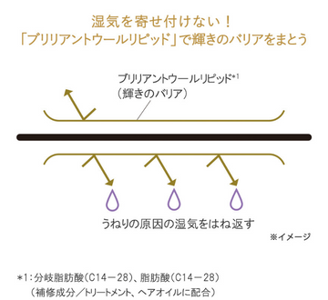 Hzストレートリペア3本セット シャンプー&トリートメント&ヘアオイル - Hz