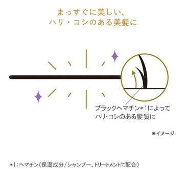 Hzストレートリペアシャンプー&トリートメント よりどり4本セット - Hz
