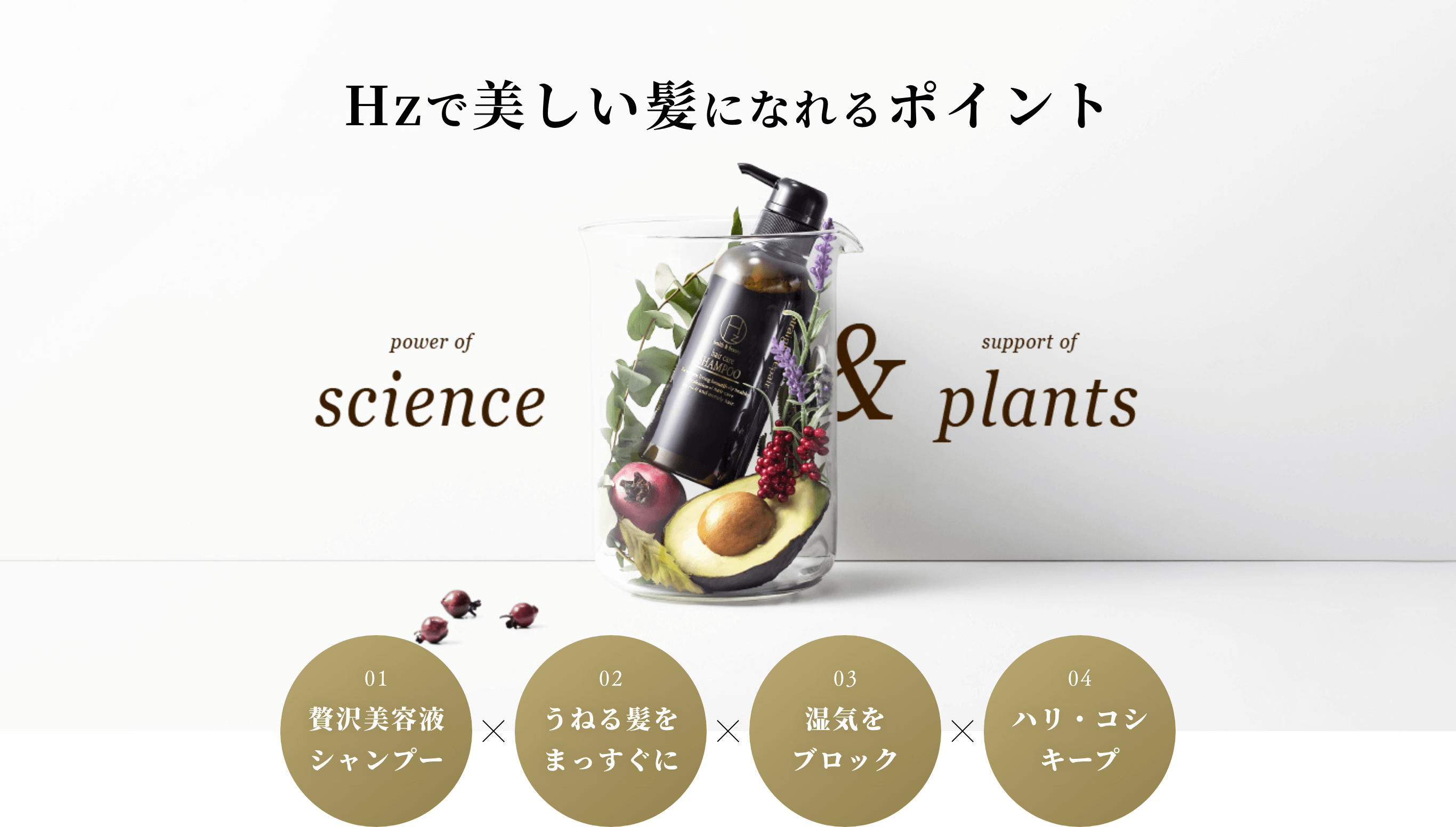Hzで美しい髪になれるポイント