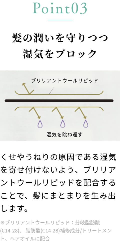 髪の潤いを守りつつ湿気をブロック
