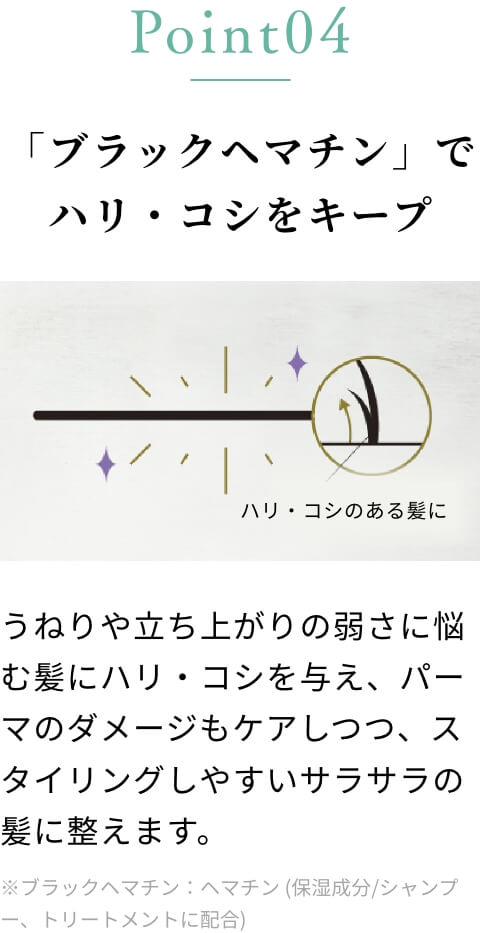 「ブラックヘマチン」でハリ・コシをキープ