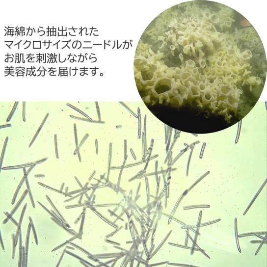 NMN ニードルパワークリーム 2個【送料無料】 [A251703] | テレビ通販