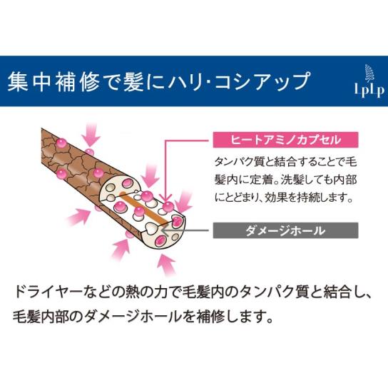 ルプルプ ヘアカラー用シャンプー詰替用 1個 [A25] ※WEB限定 | テレビ