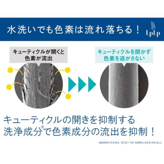ルプルプ ヘアカラー用シャンプー 特別セット【送料無料