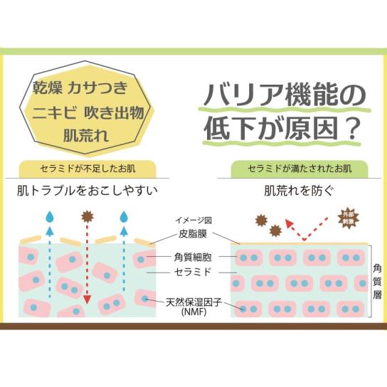Give＆Give ヴィーナス(500g) 1本 | テレビ通販サイトのカンテレSHOPPING