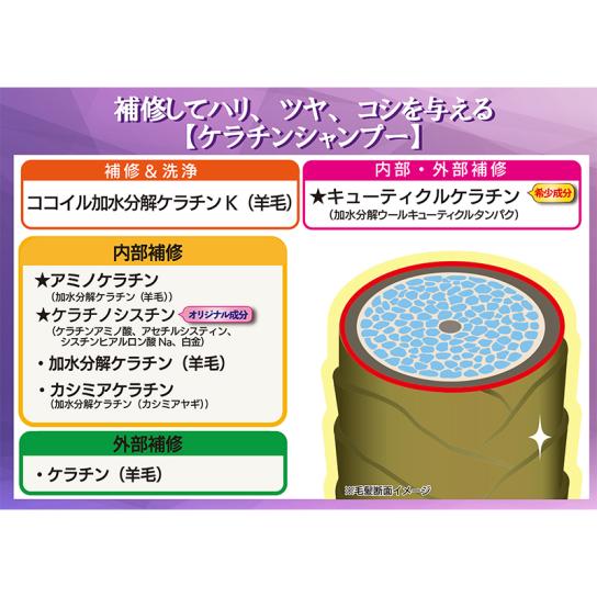 キュアフォルテ シャンプー＆トリートメント 1セット ※1週間限定