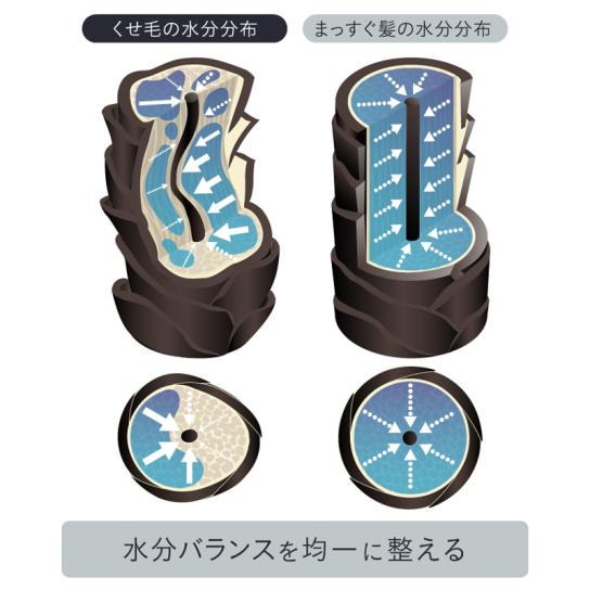 ストレーニア ケアストレートトリートメント 1本 [A251204] | テレビ