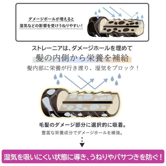 ストレーニア ケアストレートトリートメント 1本 [A251204] | テレビ