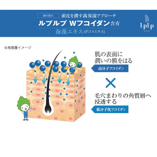 ルプルプ ヘアカラー用シャンプー詰替用 2個 [A251302] | テレビ通販