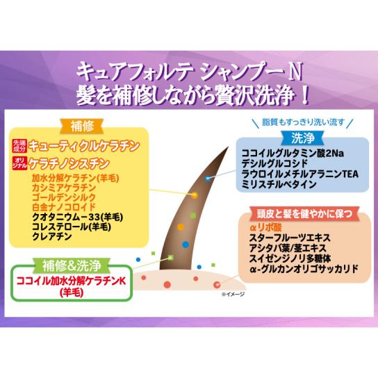 キュアフォルテ シャンプー＆トリートメント(リニューアル前