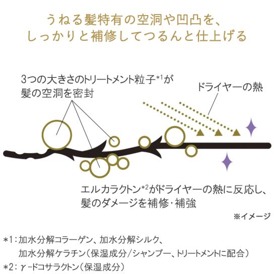 Hzストレートリペアシャンプー・トリートメント トライアルセット 6