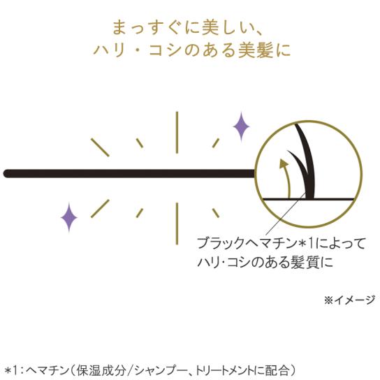 Hzストレートリペアシャンプー・トリートメント トライアルセット 6