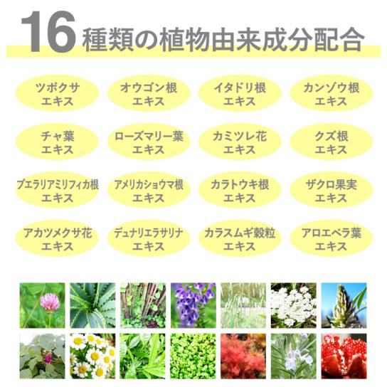 ミラココ リンク ルール 2本 [H260905] | テレビ通販サイトのカンテレ