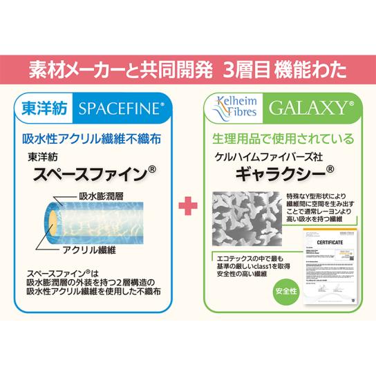 スタイルセレブリティ 吸水消臭スマートショーツ 同サイズ4色組