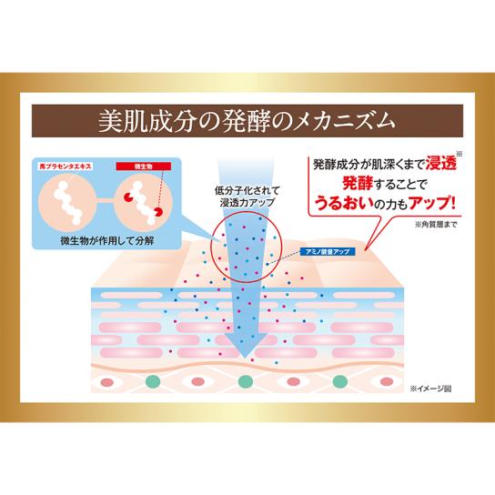 Nize Bemaさん専用 WEB UP!! maillot mature (マイヨマチュア) ◽︎ Cotton Big