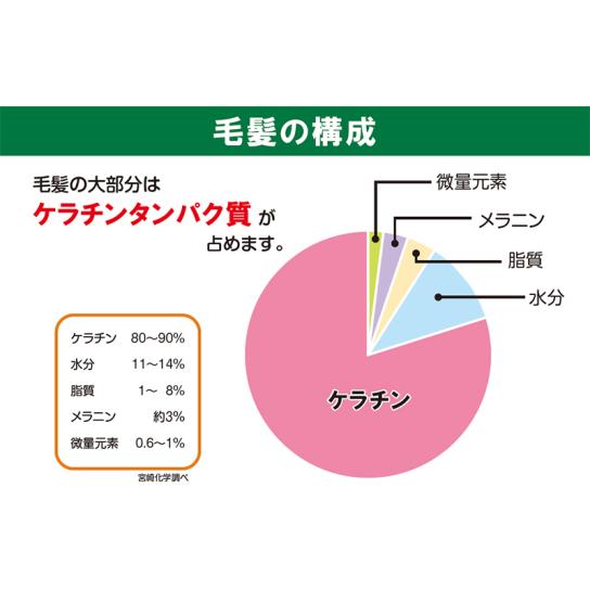 シンシア シャンプーII (コラーゲン＆シルク) 2本 [A251401] | テレビ