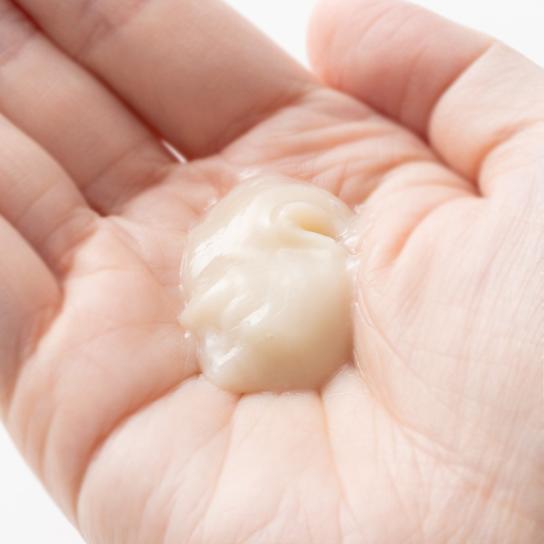 デンギモリ珍気 シャンプープレミアム・トリートメントプレミアム より