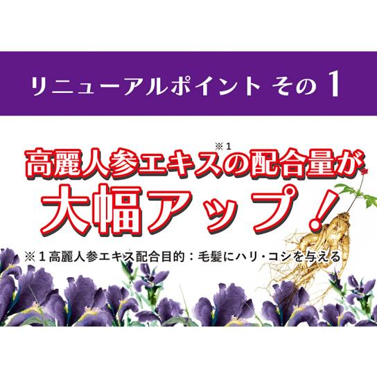 デンギモリ珍気 シャンプープレミアム・トリートメントプレミアム より
