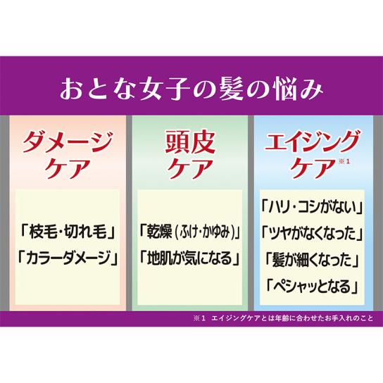 デンギモリ珍気 シャンプープレミアム・トリートメントプレミアム より