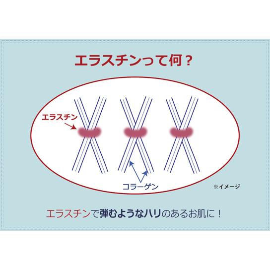 コラボーテ・アップ WEB限定セット 【送料無料】 ※WEB得 | テレビ通販