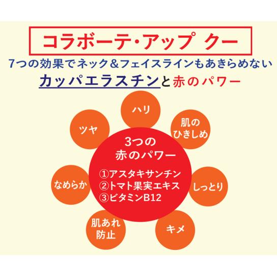 コラボーテ・アップ WEB限定セット 【送料無料】 ※WEB得 | テレビ通販