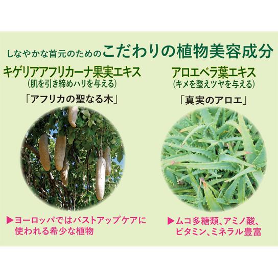 コラボーテ・アップ WEB限定セット 【送料無料】 ※WEB得 | テレビ通販