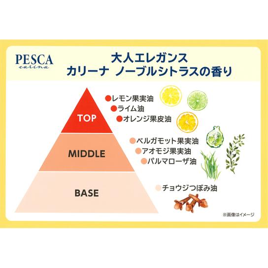 ぺスカ カリーナ オールイン セラムシャワー 1本 | テレビ通販サイトの