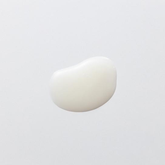 リポソームN プラチナエサンス(45mL) 2本 (特典付) 【送料無料