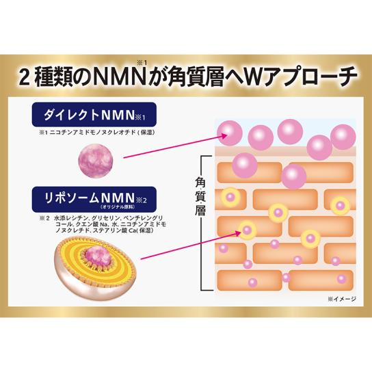 リポソームN プラチナエサンス(45mL) 1本 【送料無料】 [A260104